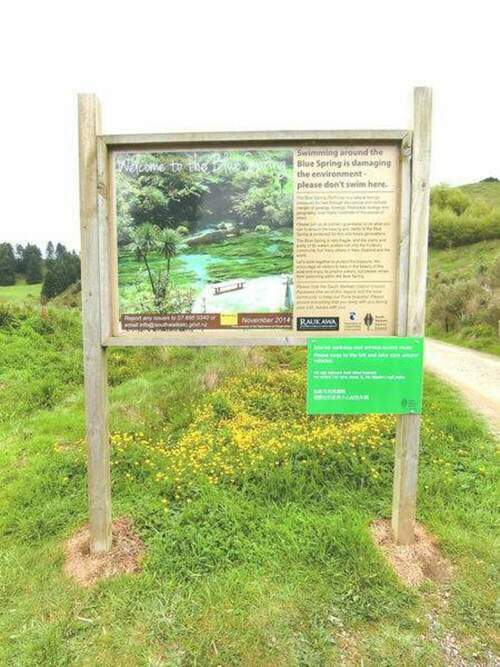 Miilook迷路／紐西蘭｜匆匆北島：哈比村、藍泉、螢火蟲洞 - 早安台灣新聞 | Morning Taiwan News