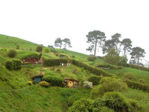 Miilook迷路／紐西蘭｜匆匆北島：哈比村、藍泉、螢火蟲洞 - 早安台灣新聞 | Morning Taiwan News