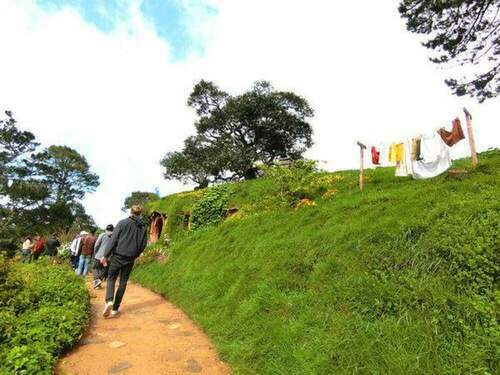 Miilook迷路／紐西蘭｜匆匆北島：哈比村、藍泉、螢火蟲洞 - 早安台灣新聞 | Morning Taiwan News