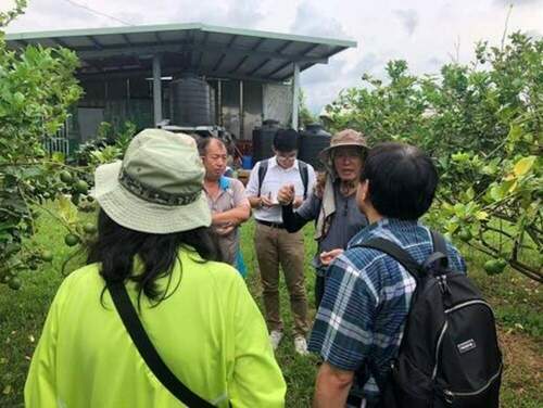 「檸」是王者 金色大地攜手屏東檸檬 不畏疫情深耕檸檬飲料市場 - 早安台灣新聞 | Morning Taiwan News