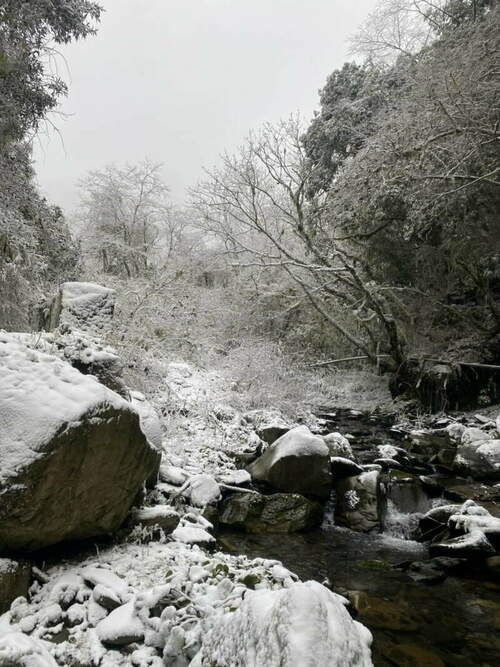 思源啞口降白雪 民眾上山野營賞雪直呼賺到 - 早安台灣新聞 | Morning Taiwan News