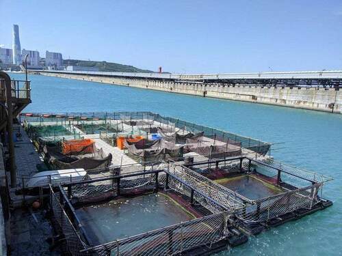 養魚還可減碳-台電共享海洋牧場獲總統盃黑客松卓越團隊獎