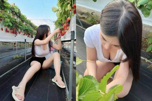 辣到犯規！正妹大u領開腿採草莓-網爆動：神之視角