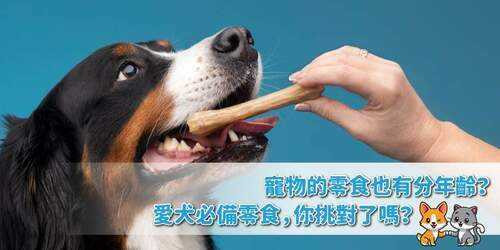 寵物的零食也有分年齡？愛犬必備零食，你挑對了嗎？