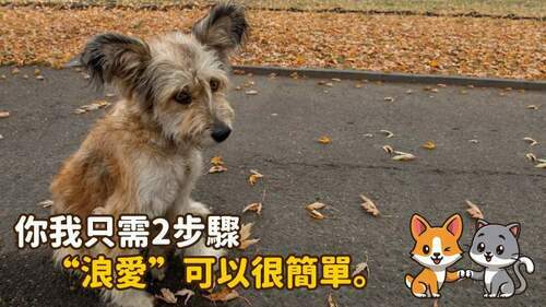 你我只需2步驟-“浪愛”可以很簡單