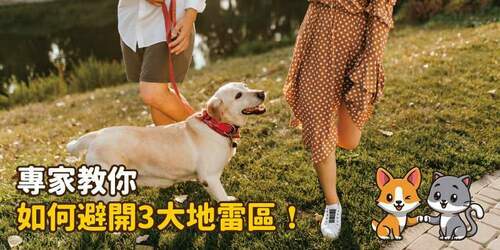 新手毛爸媽們，你們知道該怎麼照顧毛小孩嗎?專家教你如何避開3大地雷區！
