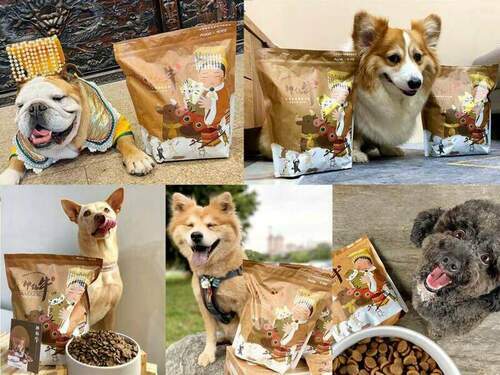 萌寵也瘋大甲媽「神仙牛」狗飼料一堆毛孩搶著吃