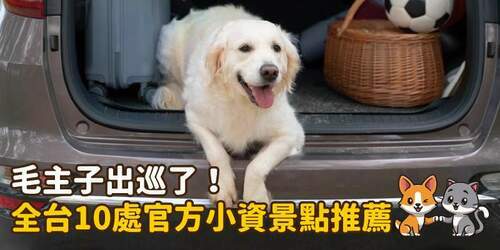 毛主子出巡了！全台10處官方小資景點推薦