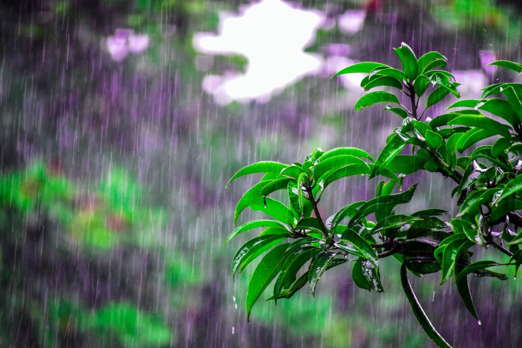 今高溫飆35度！鋒面報到雨區擴大　防午後強降雨