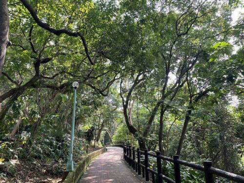 夏日城市中的涼爽覓徑「中和嘉穗公園」 - 台北郵報 | The Taipei Post