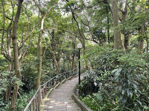 夏日城市中的涼爽覓徑「中和嘉穗公園」 - 台北郵報 | The Taipei Post