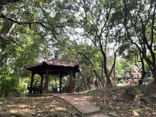 夏日城市中的涼爽覓徑「中和嘉穗公園」 - 台北郵報 | The Taipei Post