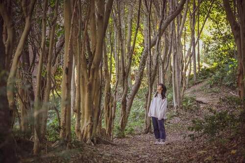 藏身都市中的森林覓徑「中和自強公園」 - 台北郵報 | The Taipei Post