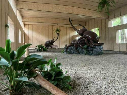 獨角仙觀察箱在芬園鄉進芬社區-舊營區活化榮獲園冶獎