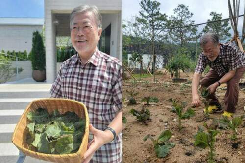 卸任後首度更新ig！文在寅曬毛小孩生活好愜意