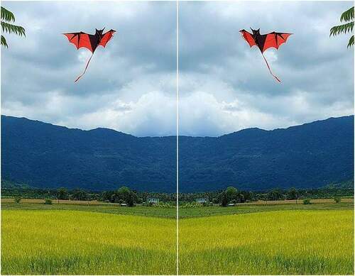 後山小調∕風箏的另一種功能 - 台北郵報 | The Taipei Post