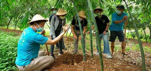 新北竹筍季來囉!來五股綠竹社區食農採筍、品嘗創意竹筍料理 - 台北郵報 | The Taipei Post