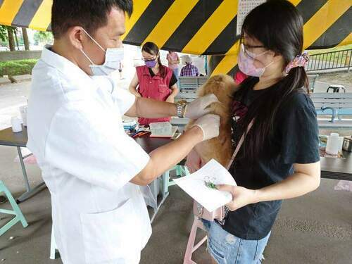 新北動保處將舉辦20場疫苗免費巡迴注射 - 台北郵報 | The Taipei Post