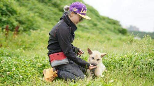 淡水動物之家推毛寶貝健康提升專案 提升收容品質 - 早安台灣新聞 | Morning Taiwan News