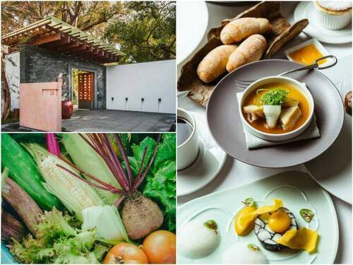 北投療癒小旅行！三二行館與在地小農推出期間限定「森食光」套餐
