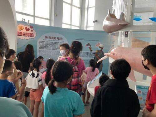 彰化打卡熱點　白色海豚屋暑假遊玩好去處 - 台北郵報 | The Taipei Post