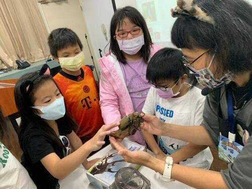 都市昆蟲生態大探索　邀您一窺六足動物的小宇宙 - 台北郵報 | The Taipei Post