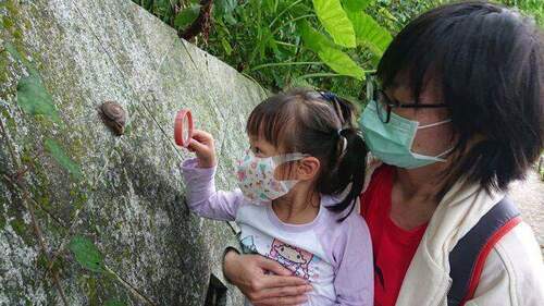 都市昆蟲生態大探索　邀您一窺六足動物的小宇宙 - 台北郵報 | The Taipei Post