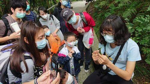 都市昆蟲生態大探索　邀您一窺六足動物的小宇宙 - 台北郵報 | The Taipei Post