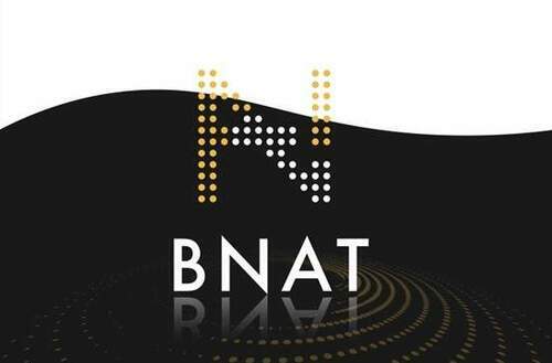 全球獲利最好量化交易團隊整裝出發-新功能型治理代幣bnat備受關注