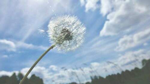 小心著涼！日夜溫差逾10度　變天時間點曝光