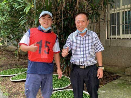 全國製茶賽展現新北青農力 囊括半數獎項 - 台北郵報 | The Taipei Post