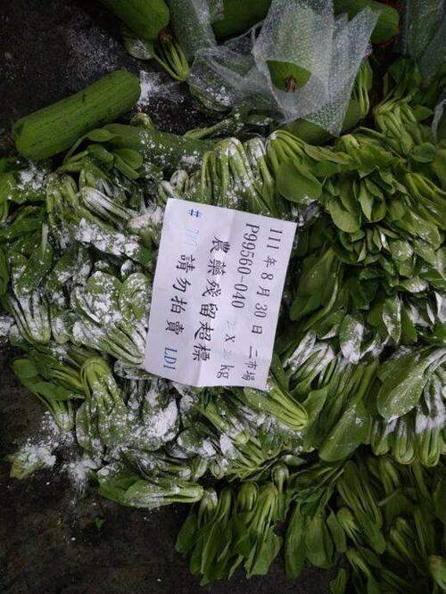 公布111年8月批發市場蔬果農藥添加物殘留抽驗結果 - 台北郵報 | The Taipei Post