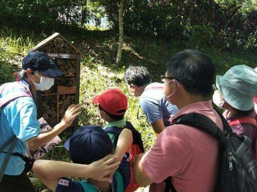 家庭志工心體驗 前往塭仔底溼地公園服務 孩子觸摸含羞草 怎麼像拉鍊合起來了 - 早安台灣新聞 | Morning Taiwan News