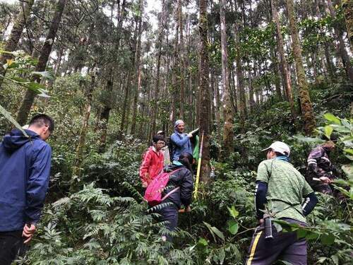 停頓四十餘年 雙連埤「里山林業經營」重新啟動林業工作 - 台北郵報 | The Taipei Post