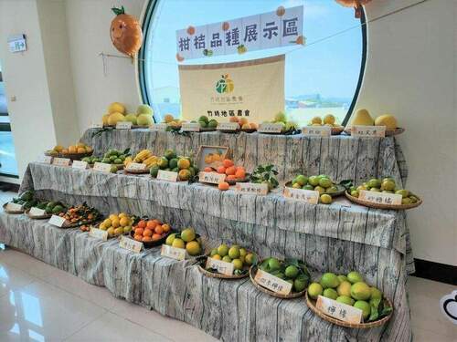 竹崎農會辦理椪柑評鑑會　吃柑橘正是時候 - 台北郵報 | The Taipei Post
