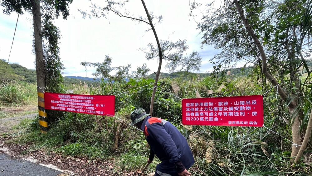 嚴禁使用捕獸鋏、山豬吊等陷阱捕捉動物　違者最高處7.5萬元 - 早安台灣新聞 | Morning Taiwan News