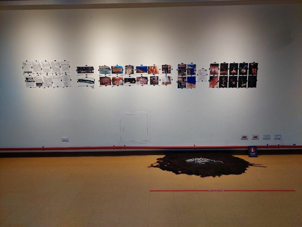 大葉大學視傳系策畫「自在之物」特展　年節到台中科博館開眼界 - 台北郵報 | The Taipei Post