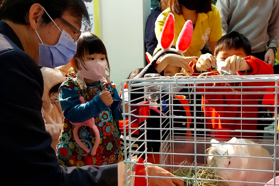 「兔兔兔」愛在一起陪你Happy兔gather 2023兔年特展即日起至5月31日開放參觀 - 台北郵報 | The Taipei Post