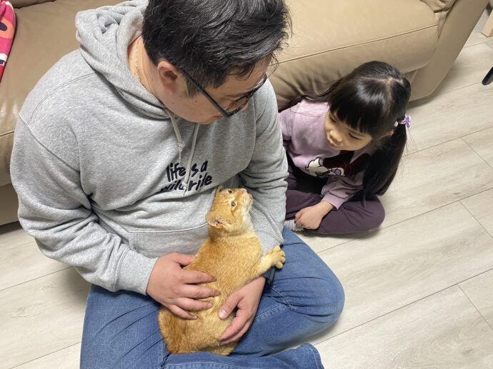 來新北猴硐貓村 帶喵星人回家 - 台北郵報 | The Taipei Post