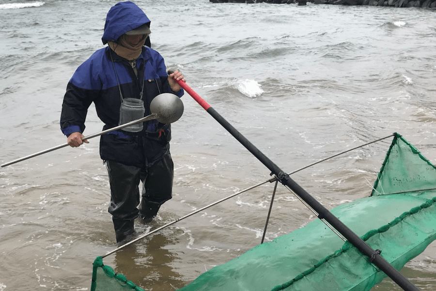 為維護鰻魚資源得永續利用 3/1至10/31禁止捕撈 違者最高可處15萬元罰鍰 - 台北郵報 | The Taipei Post