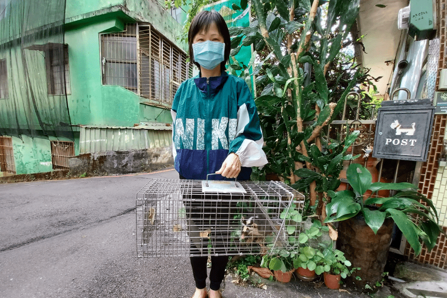 犬貓定期施打疫苗 防野生動物傳染狂犬病 - 台北郵報 | The Taipei Post