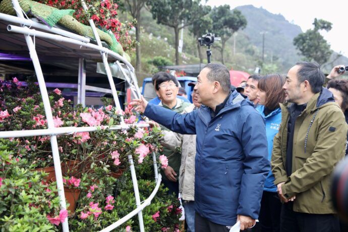 萬金杜鵑移動花聚落盛大開展　表演、手作等你來體驗 還有拍照打卡送限量杜鵑花幣等好康 - 台北郵報 | The Taipei Post