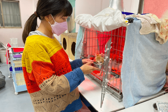 「女力崛起」新北動保員展現女力 活潑個性一年送養85隻犬貓 - 台北郵報 | The Taipei Post