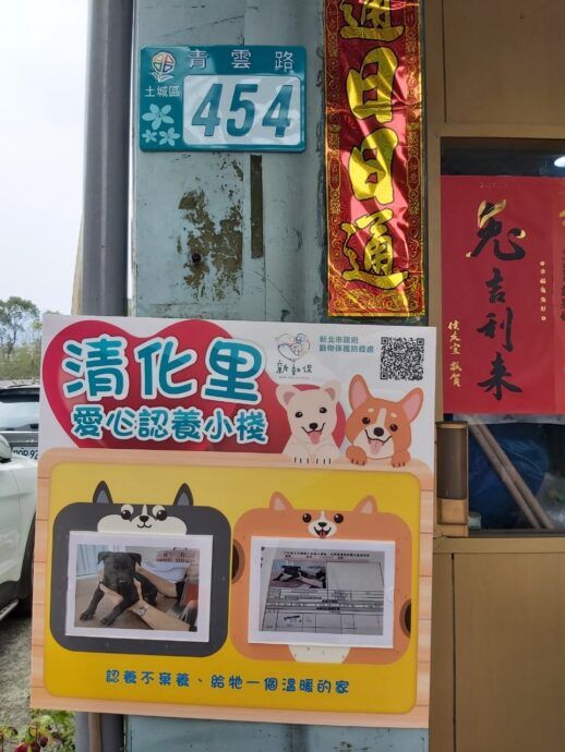 里長為收容犬隻尋覓幸福 成立土城區第1處毛寶貝認養小棧 - 台北郵報 | The Taipei Post