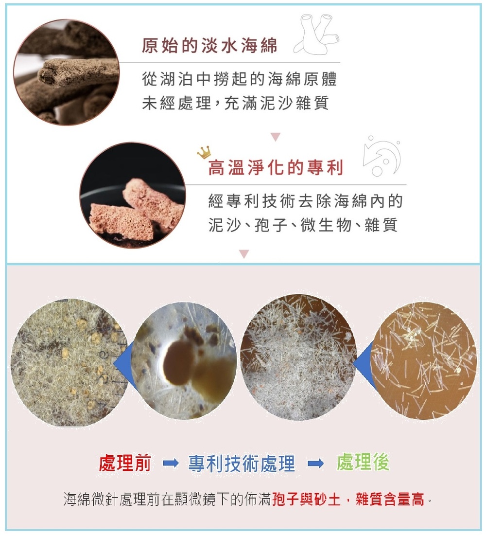 自然粉色的海綿微針市場少有 來自專利處理技術 - 台北郵報 | The Taipei Post 自然粉色的海綿微針市場少有 來自專利處理技術 - 台北郵報 | The Taipei Post