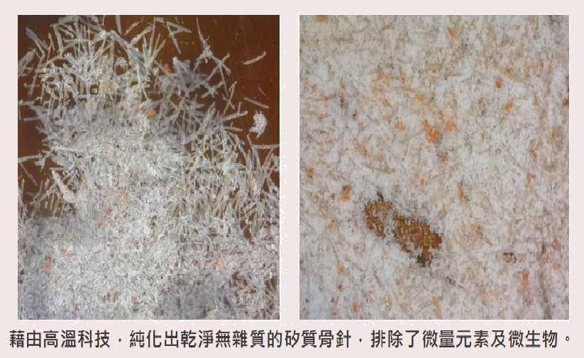 自然粉色的海綿微針市場少有 來自專利處理技術 - 台北郵報 | The Taipei Post 自然粉色的海綿微針市場少有 來自專利處理技術 - 台北郵報 | The Taipei Post