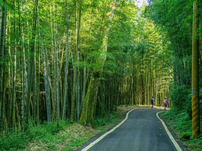 遠離3C！　嘉縣府推薦3條步道　適合親子一起森呼吸 - 早安台灣新聞 | Morning Taiwan News