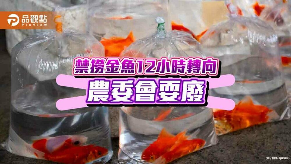 夜巿撈金魚，政策12小時變變變