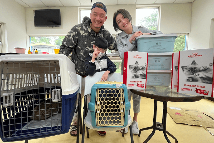感動！徐小可與阿Ben救助流浪貓一家 給予牠們溫暖的家 - 台北郵報 | The Taipei Post