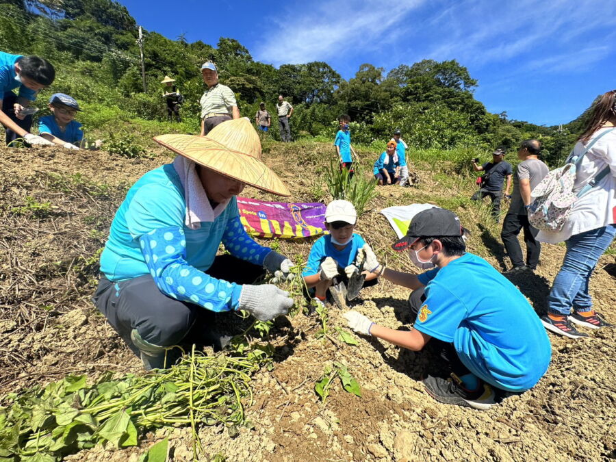 深坑農會結合食農教育做公益　連續13年辦「種地瓜送愛心」
